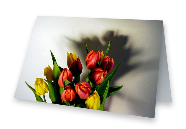 Grußkarte Tulpen   - 2er Set