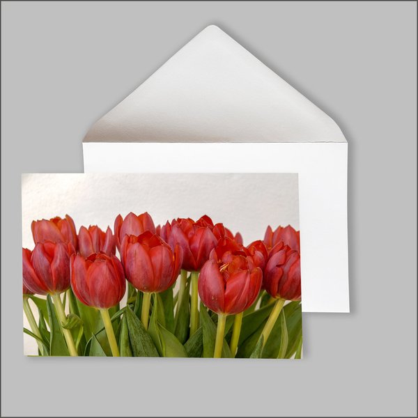 Grußkarte Tulpen  -  2er Set